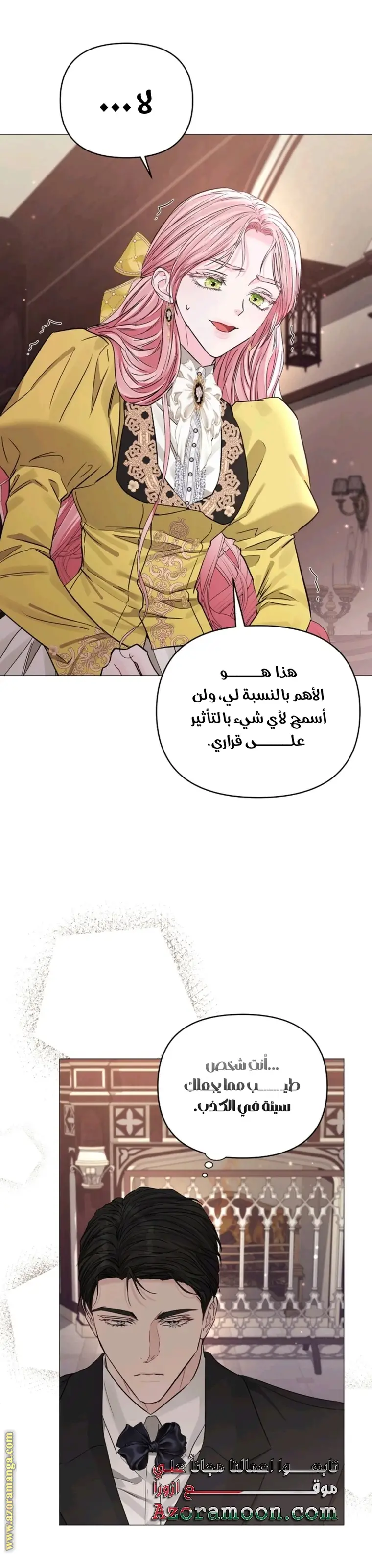 الصفحة 25