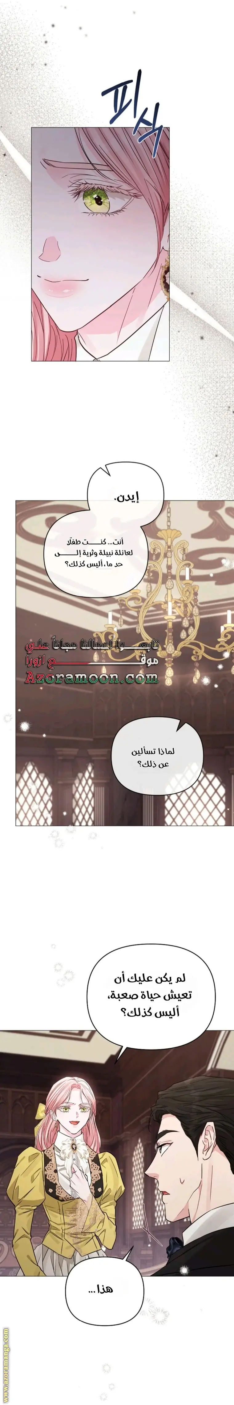 الصفحة 29