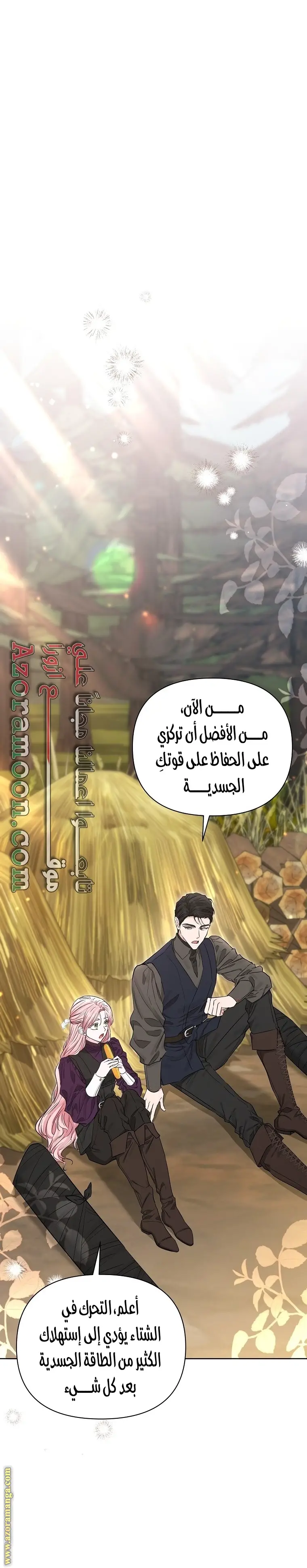 الصفحة 29