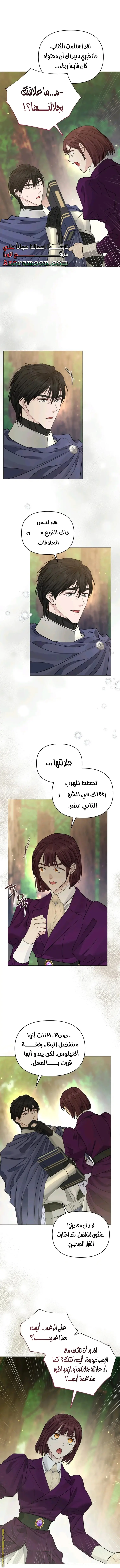 الصفحة 25