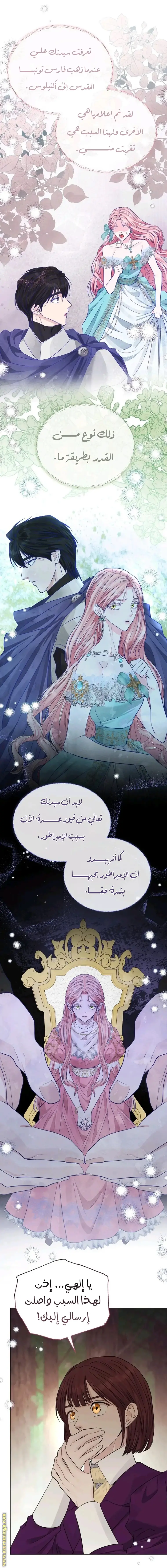 الصفحة 28