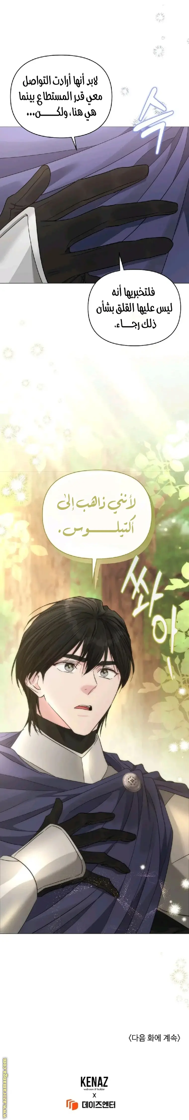 الصفحة 29