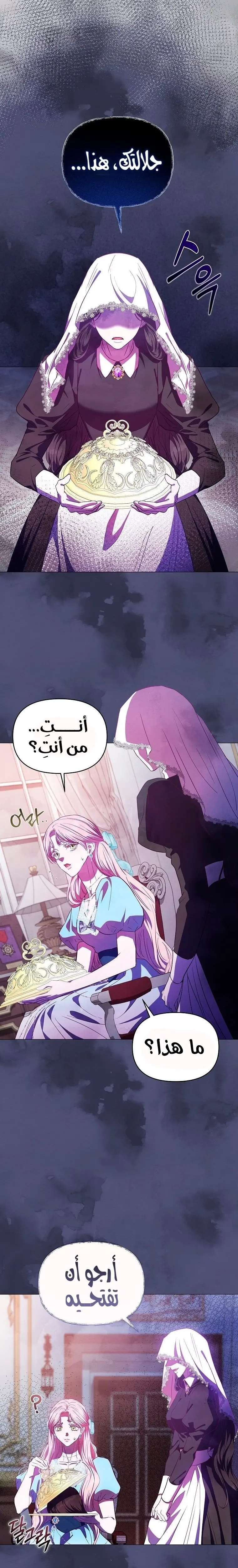 الصفحة 13