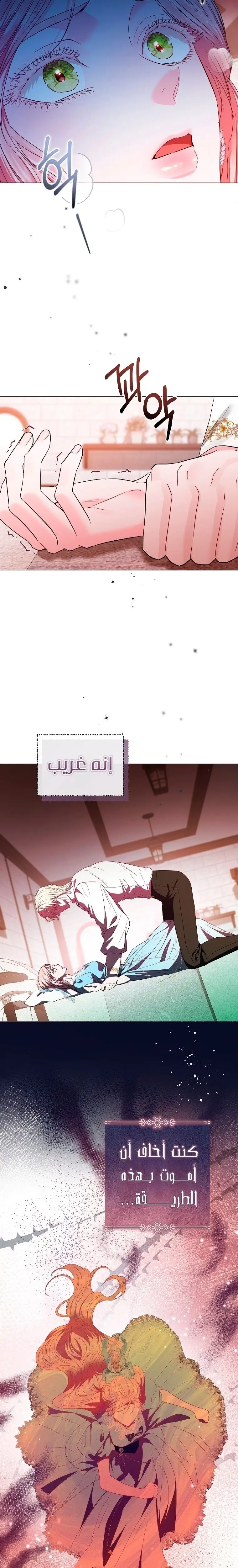 الصفحة 21