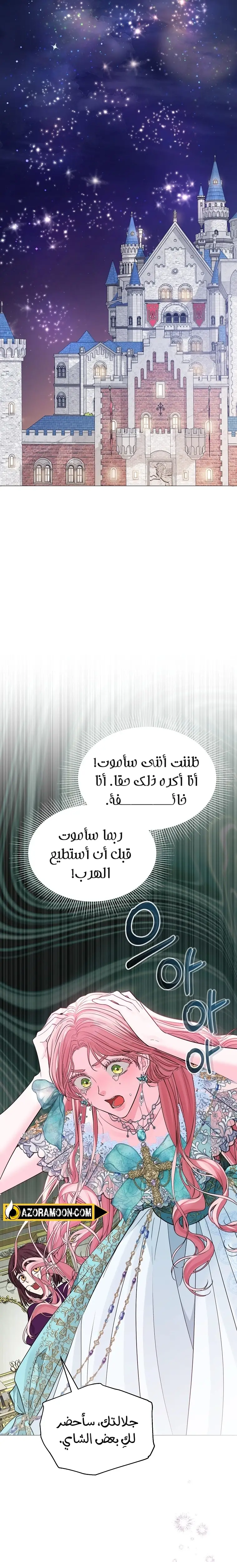 الصفحة 24