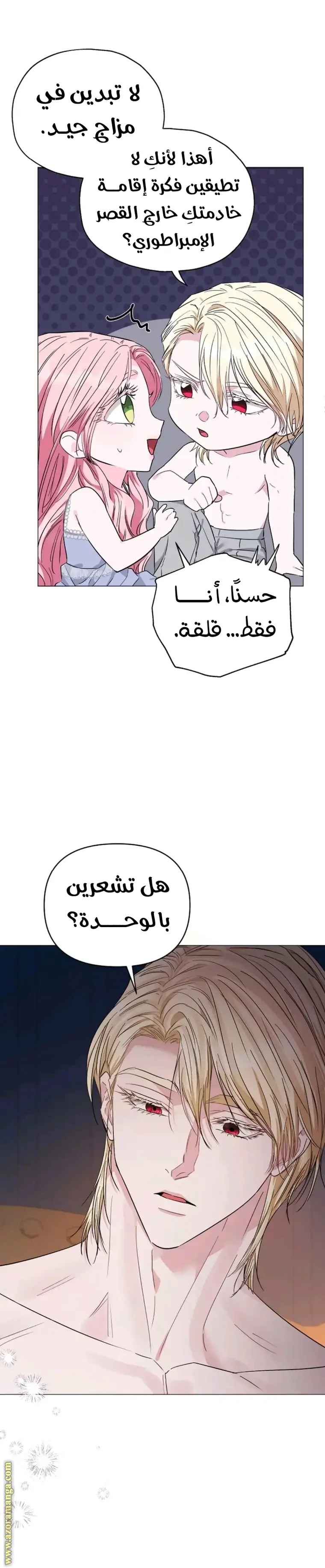 الصفحة 21