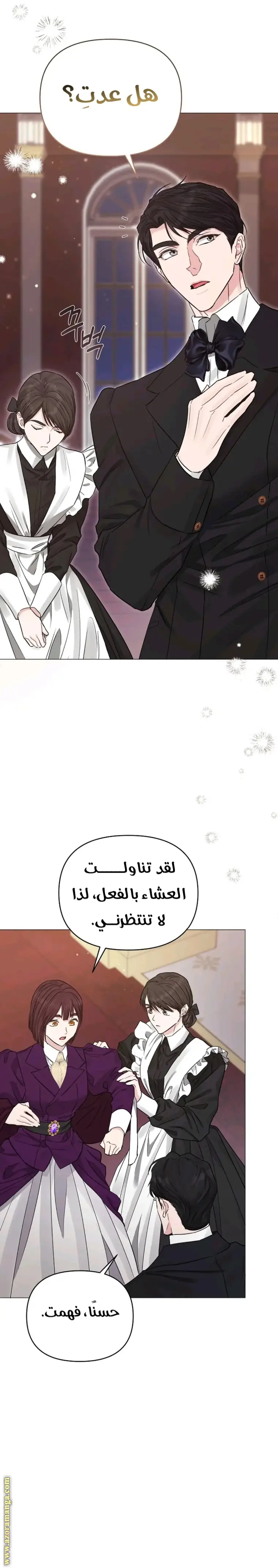 الصفحة 26