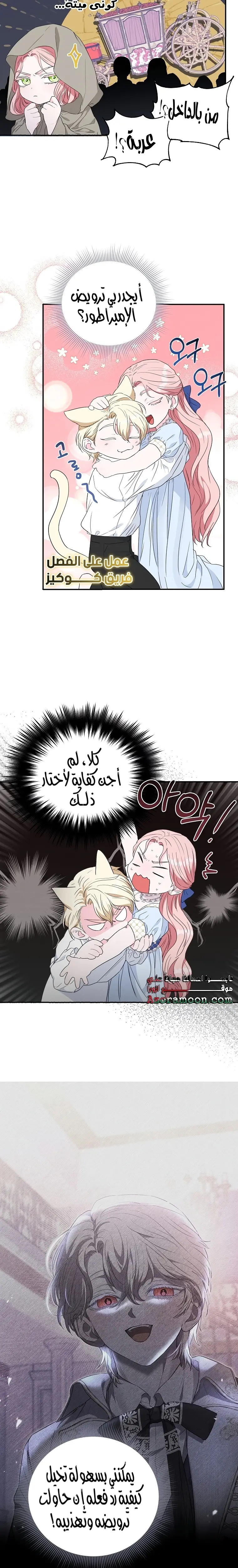 الصفحة 21