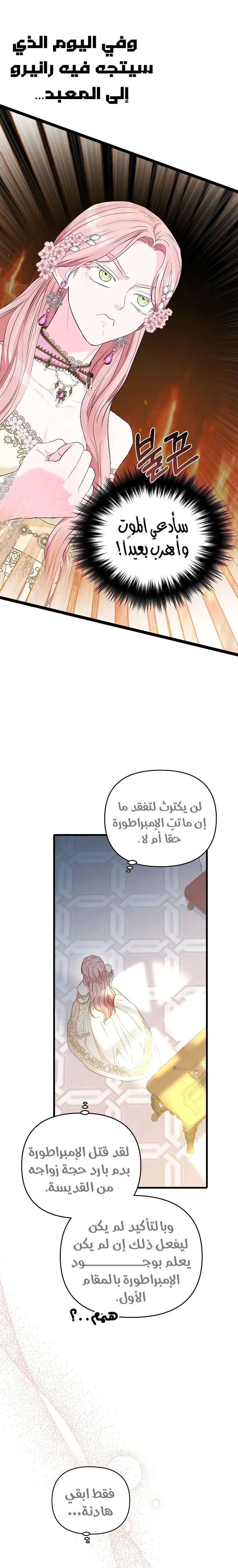 الصفحة 24