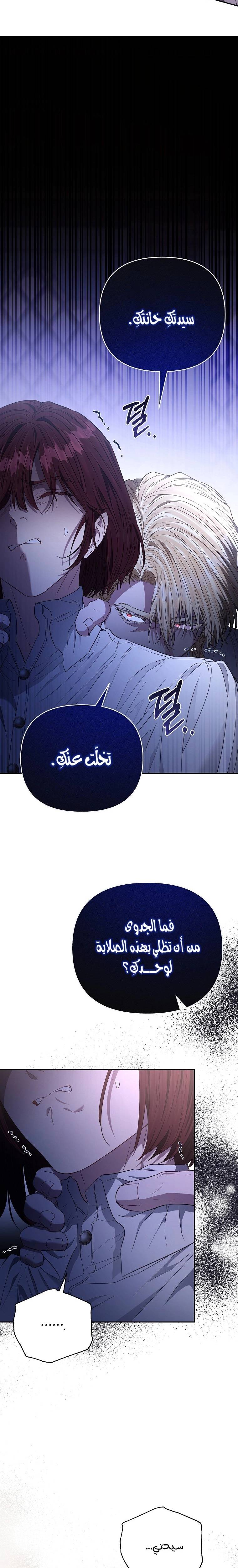 الصفحة 12