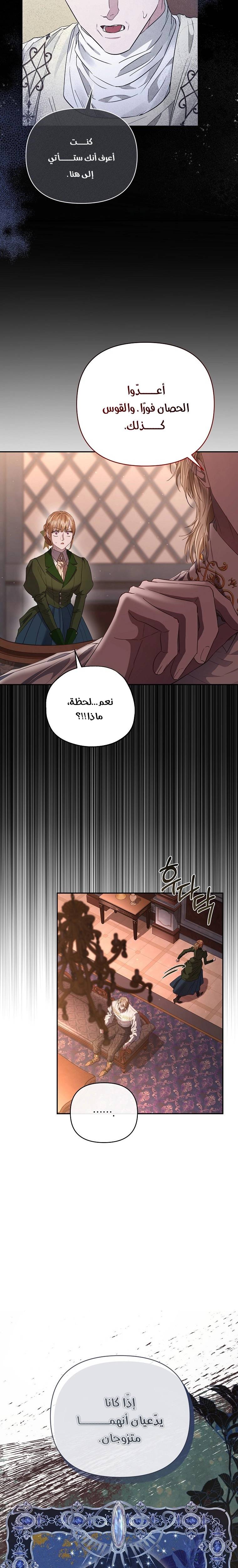 الصفحة 26