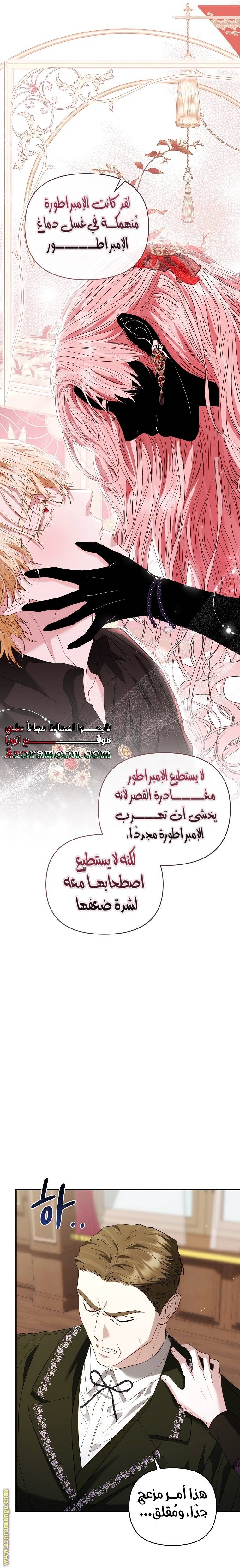 الصفحة 27
