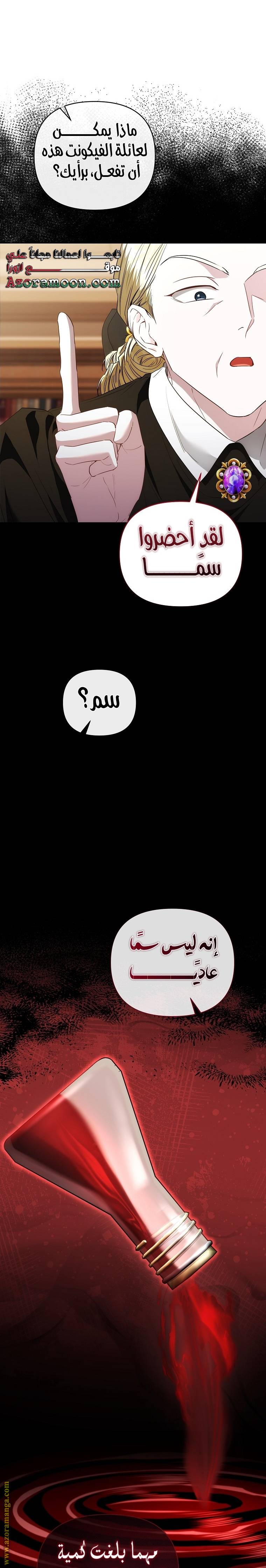 الصفحة 31