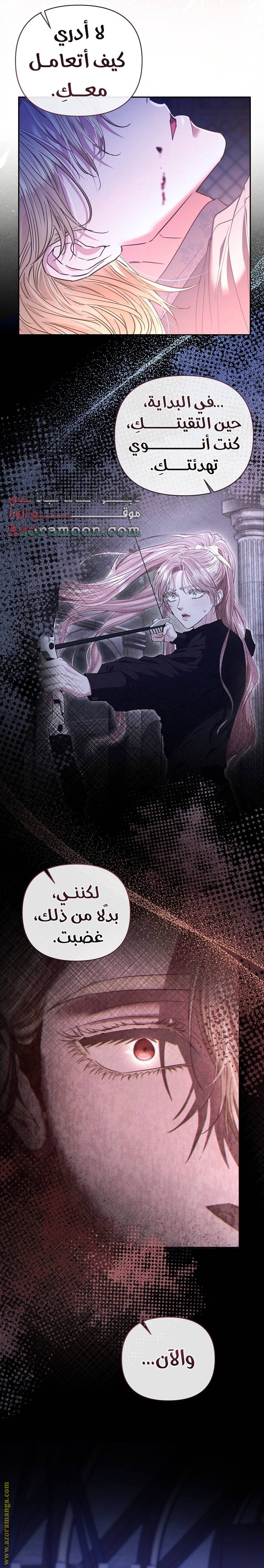 الصفحة 13