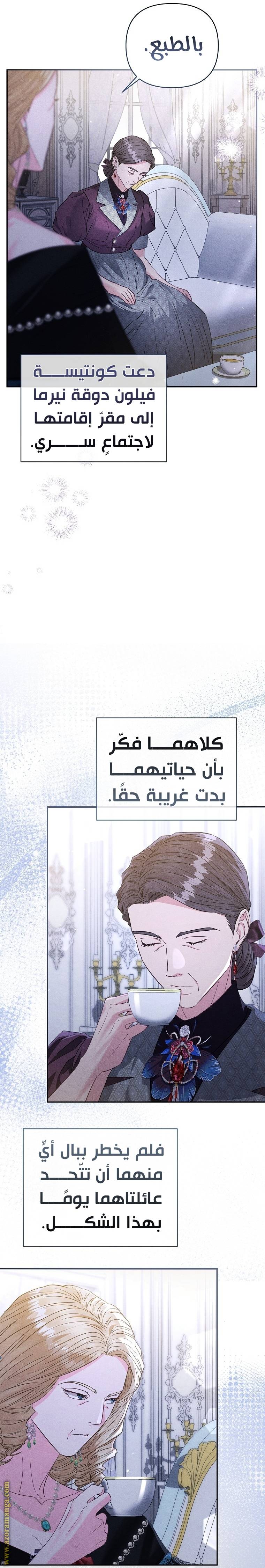 الصفحة 25