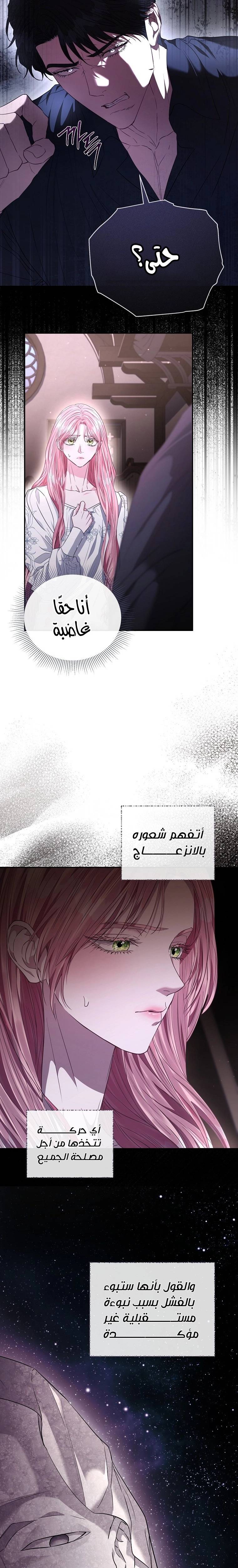 الصفحة 17