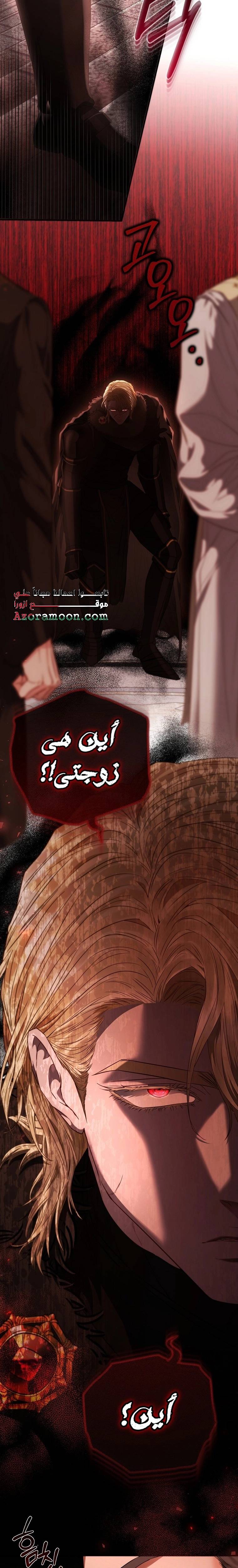الصفحة 29