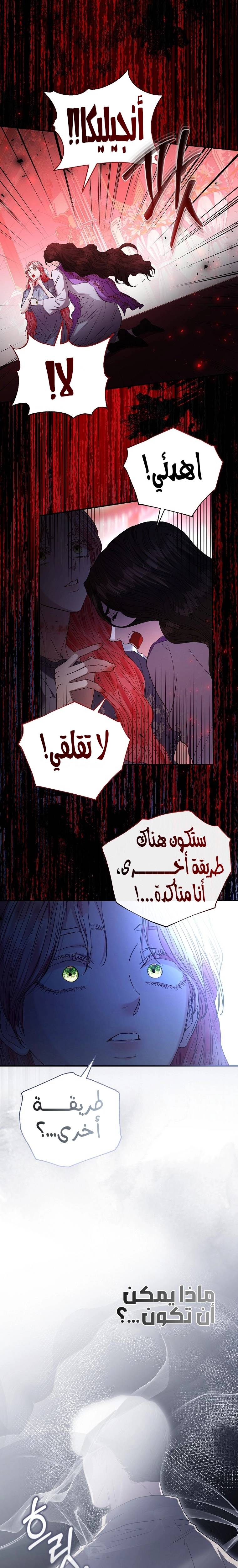 الصفحة 17