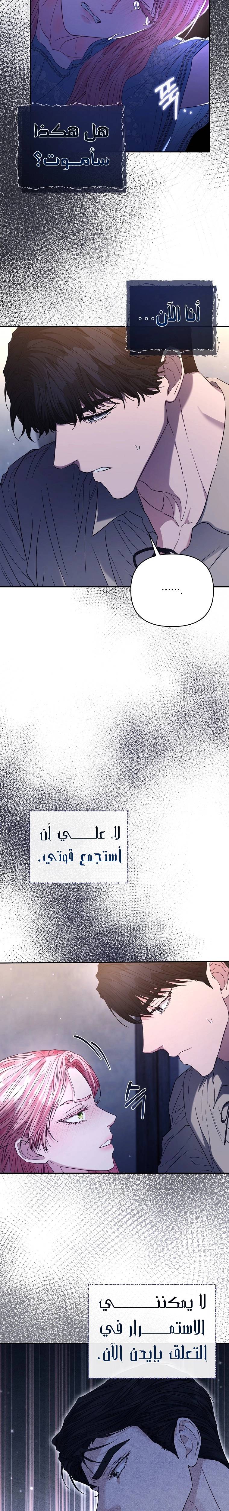 الصفحة 25