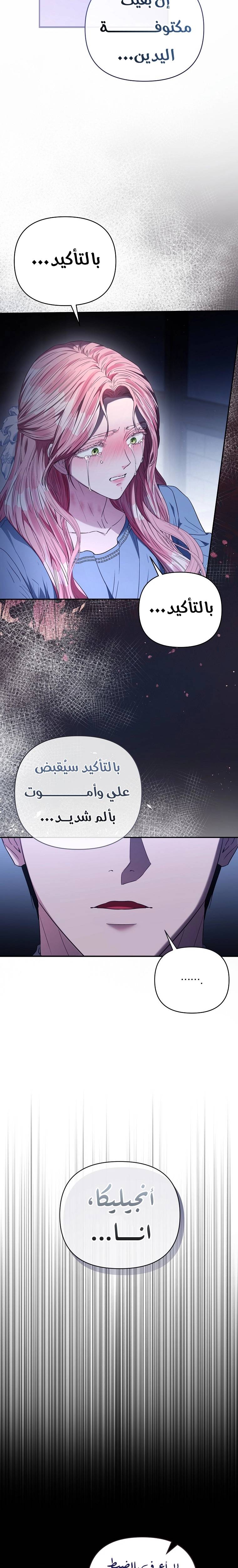 الصفحة 29