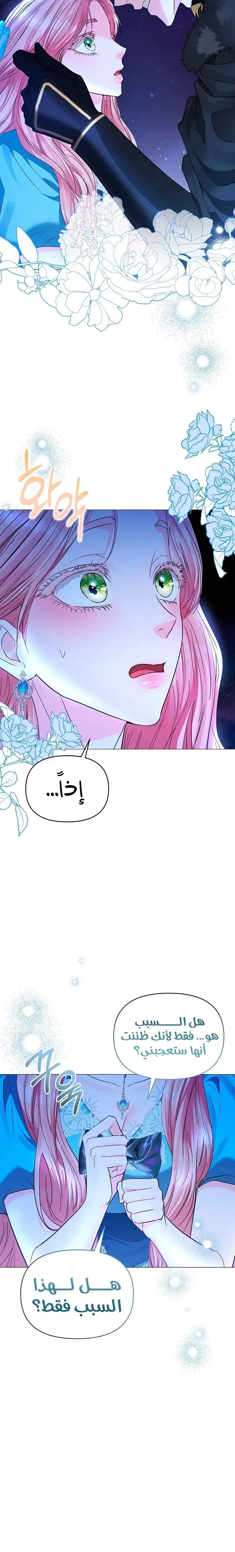 الصفحة 17
