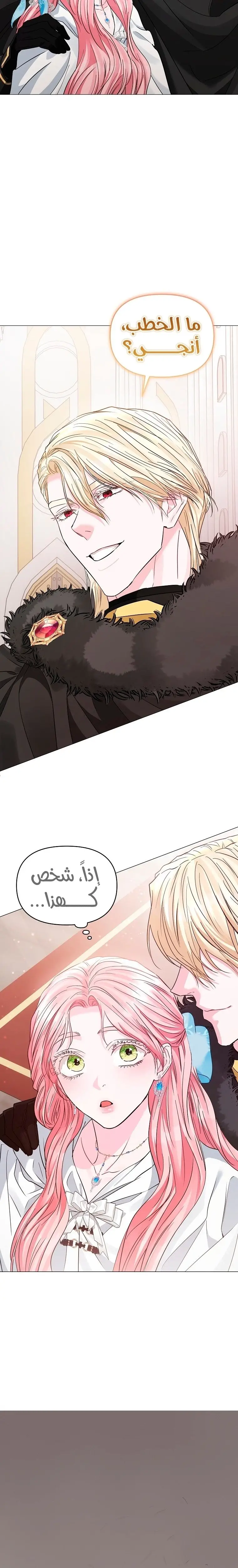 الصفحة 23