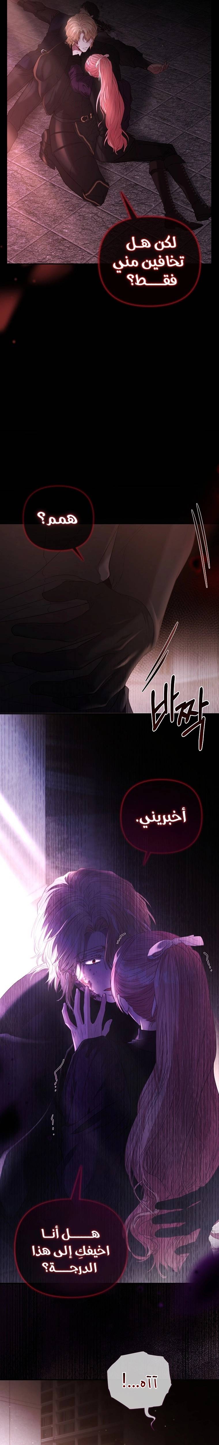 الصفحة 13