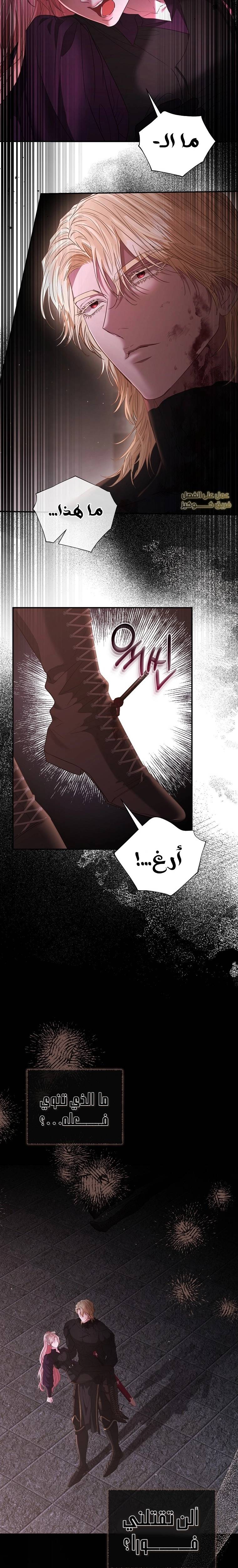 الصفحة 21