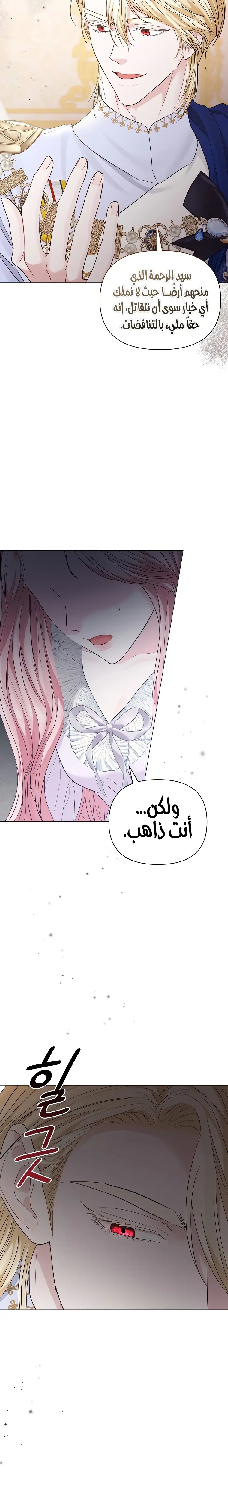 الصفحة 17