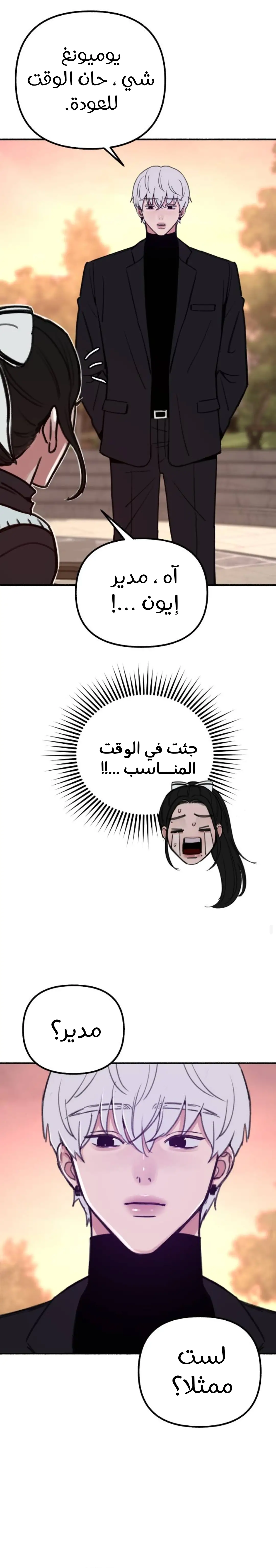 الصفحة 20