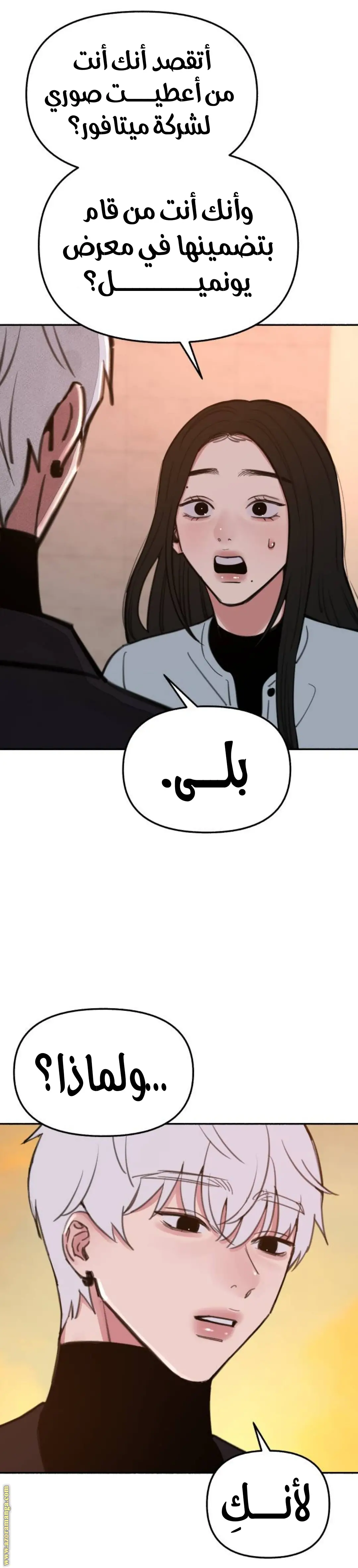 الصفحة 13