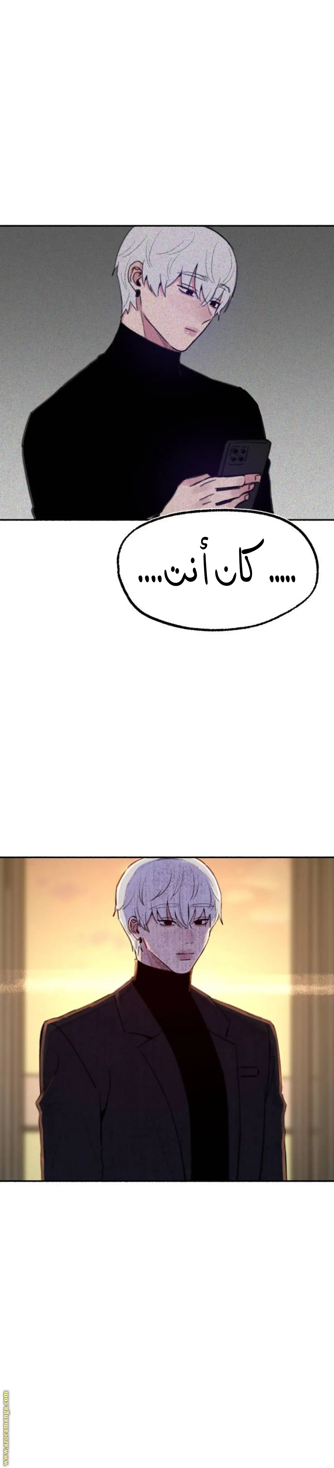 الصفحة 20