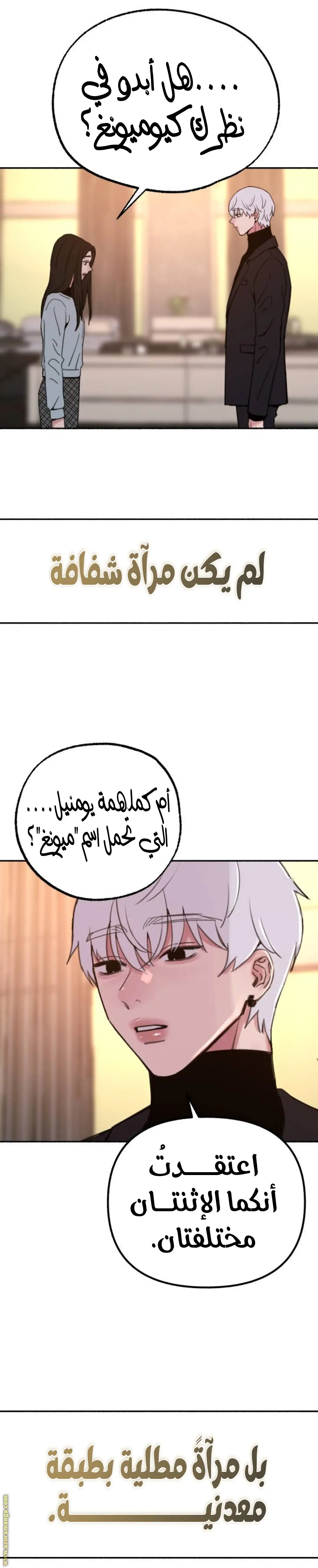 الصفحة 28