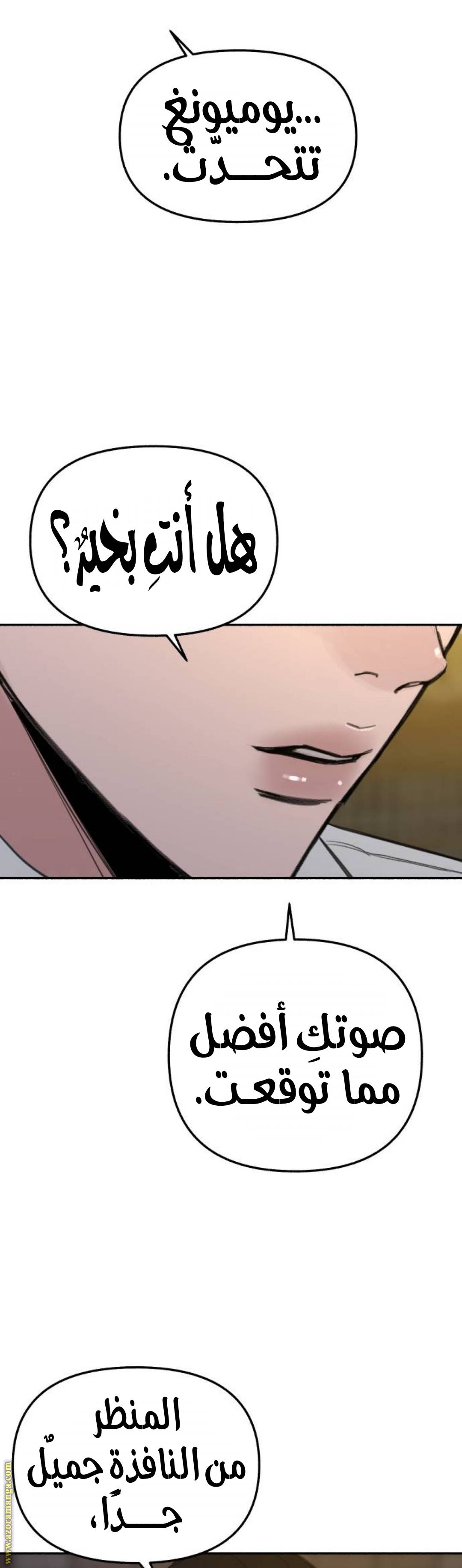الصفحة 25