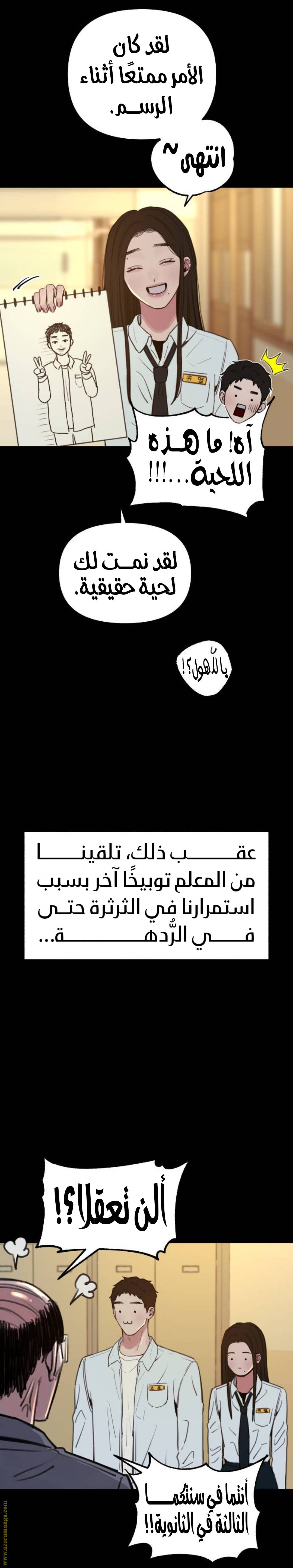 الصفحة 17