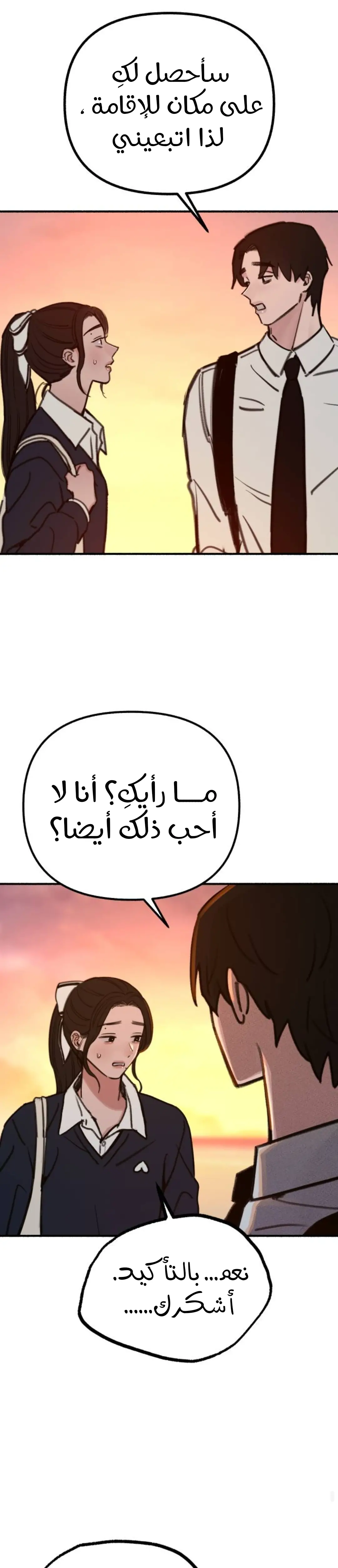 الصفحة 19