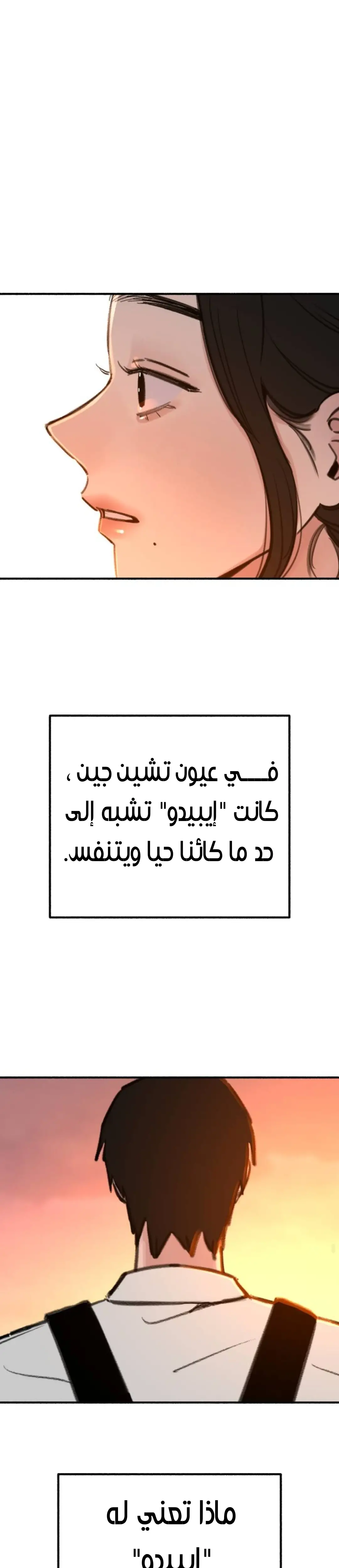 الصفحة 29