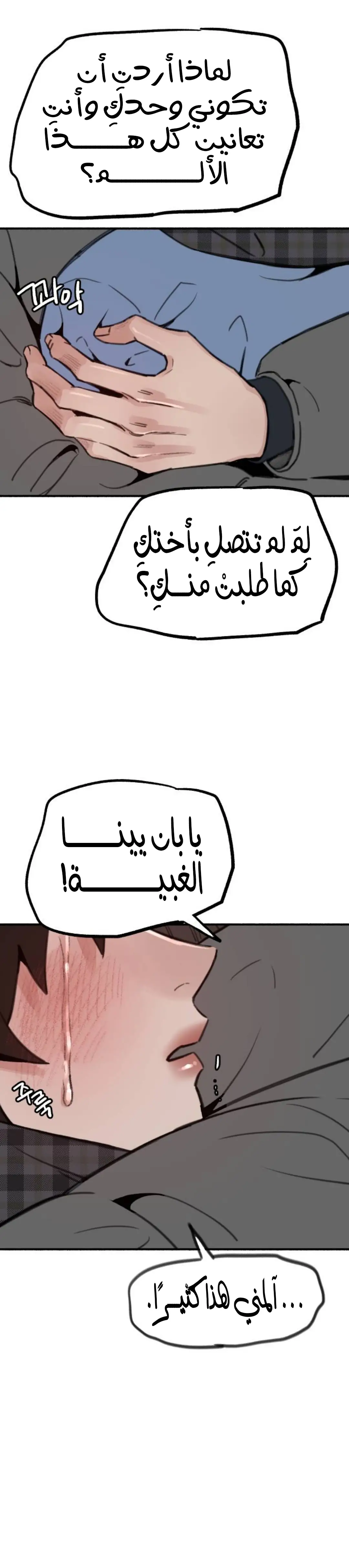 الصفحة 29