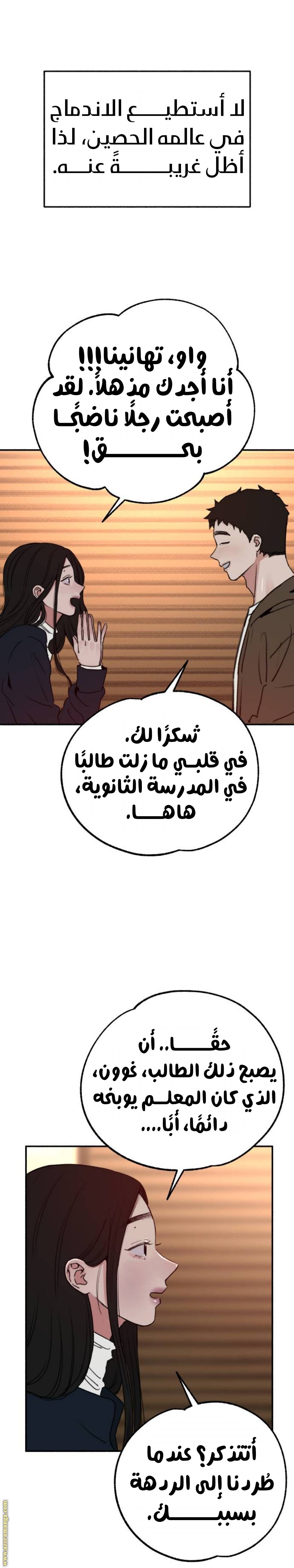 الصفحة 13