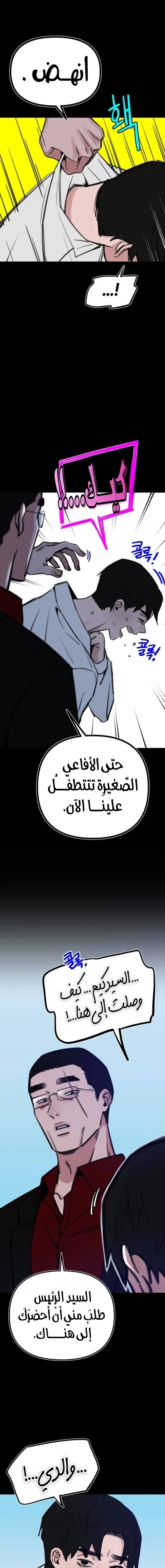الصفحة 3