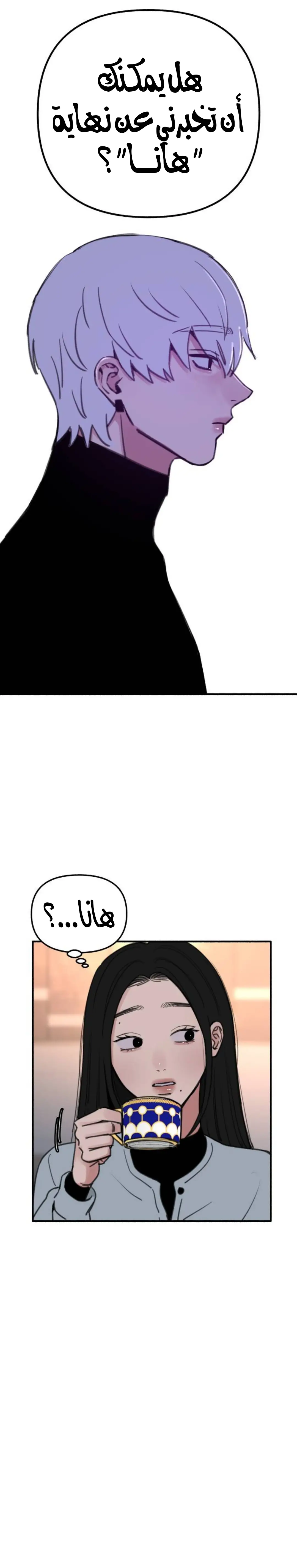 الصفحة 17