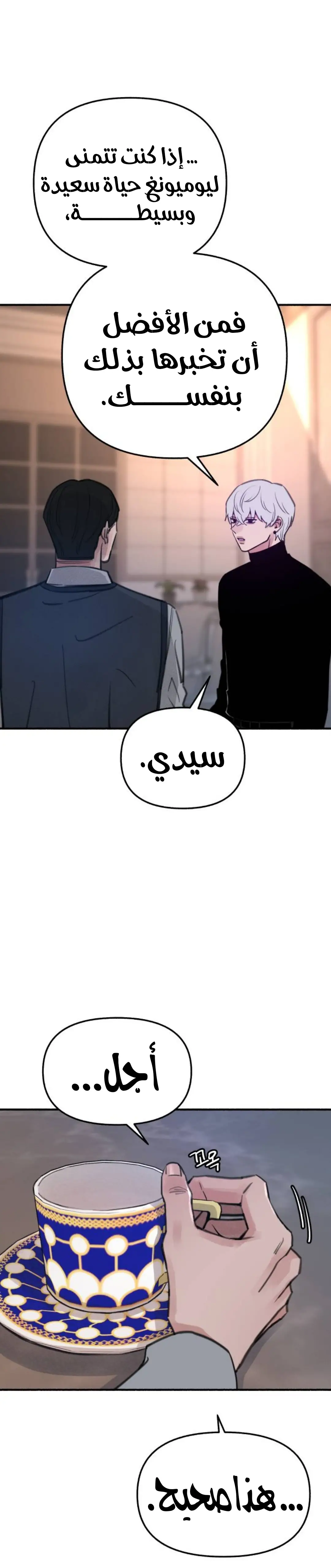 الصفحة 27