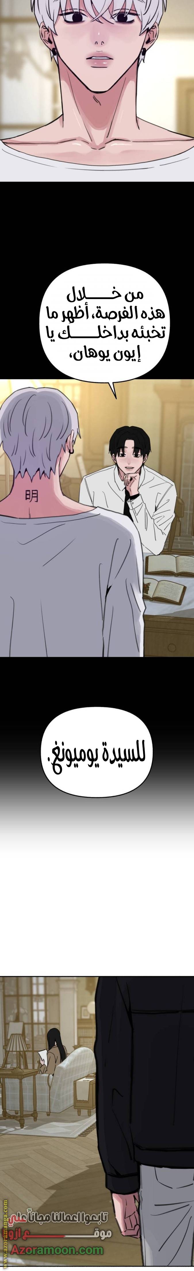 الصفحة 17