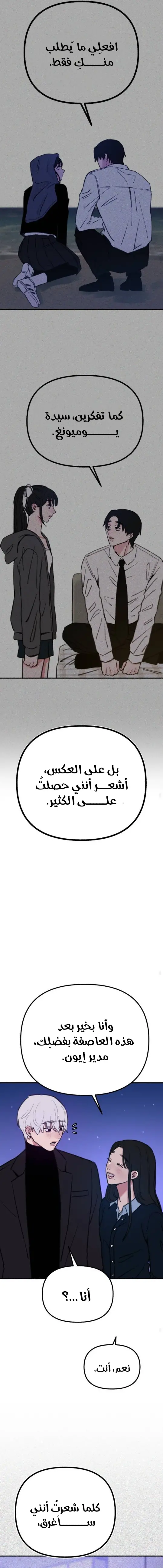 الصفحة 14