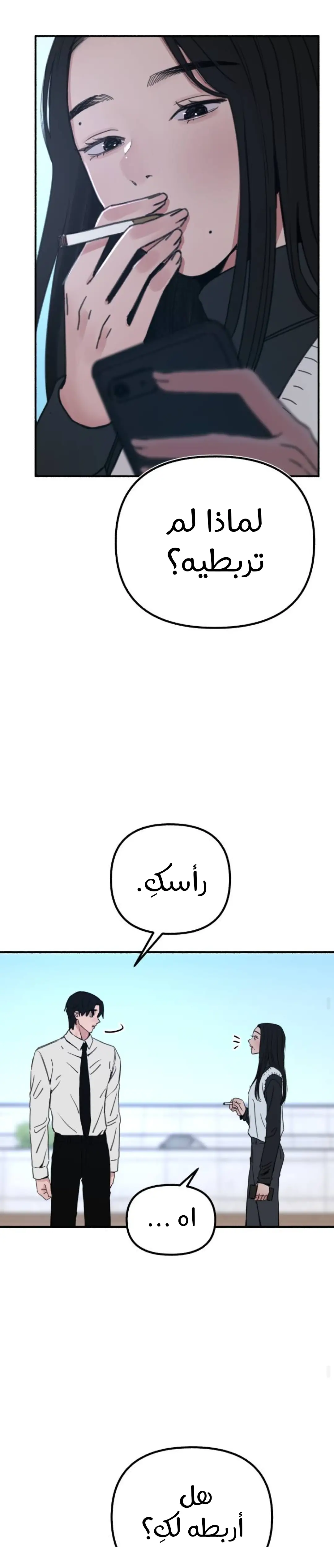 الصفحة 13