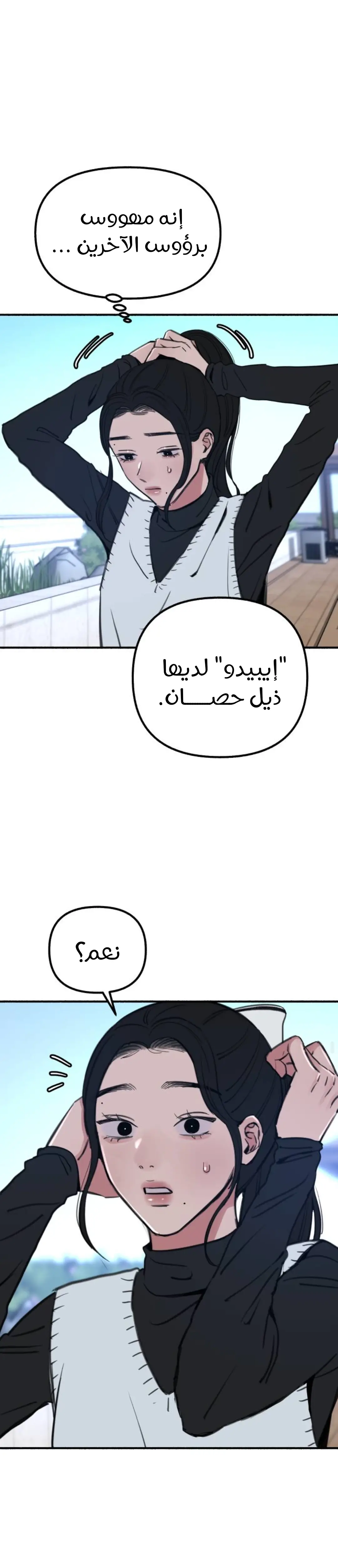 الصفحة 15