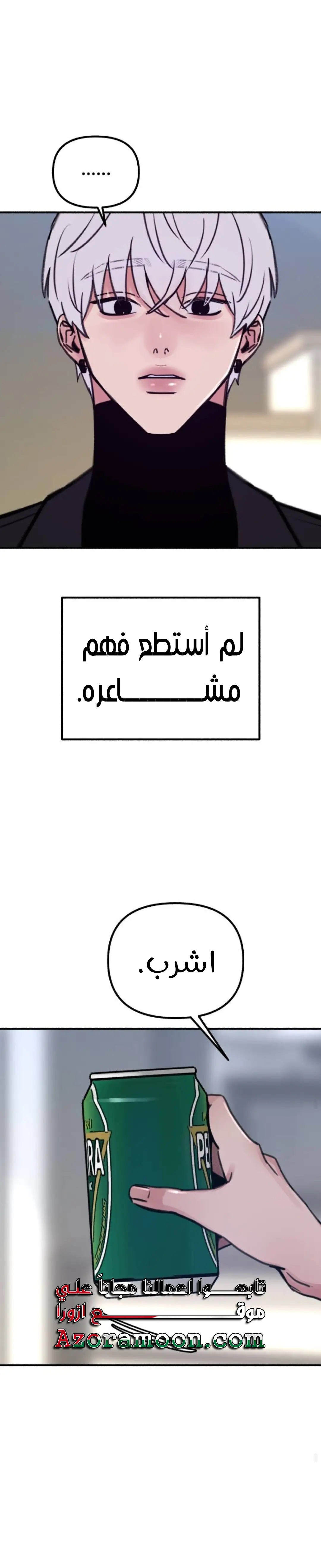 الصفحة 29