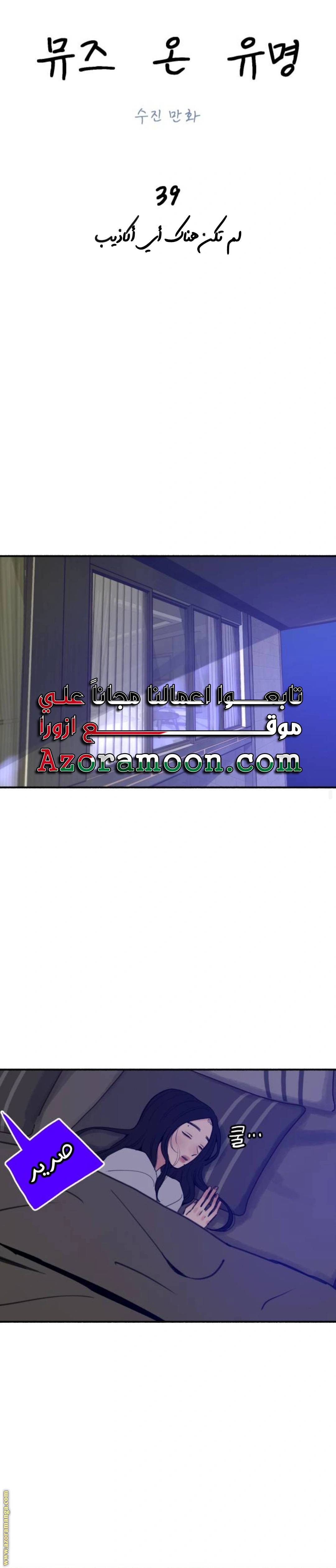 الصفحة 17