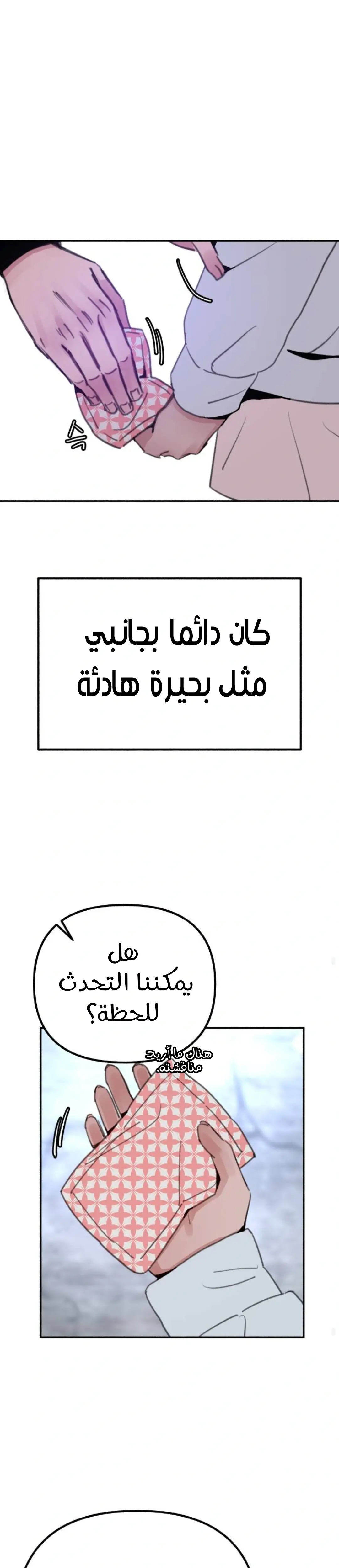 الصفحة 17