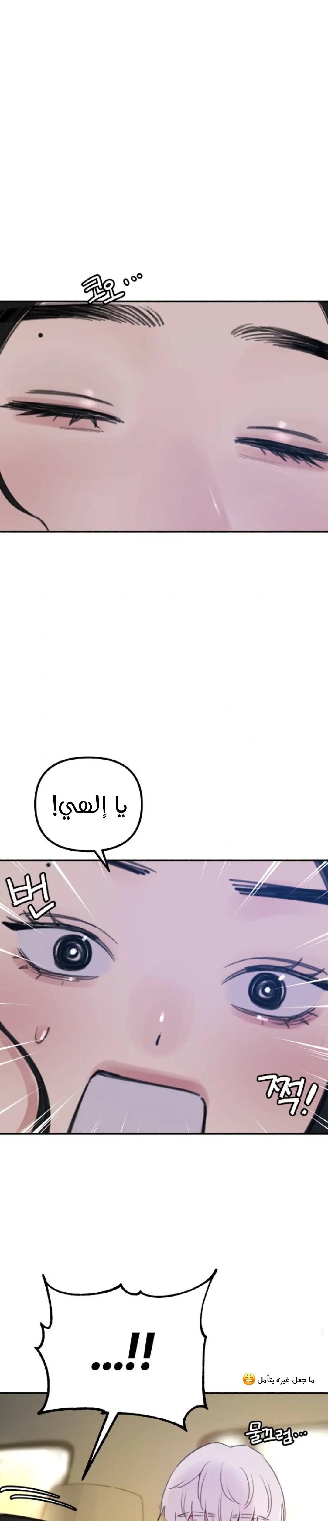 الصفحة 24